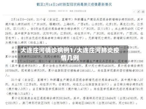 大连庄河确诊病例1/大连庄河肺炎疫情几例-第2张图片