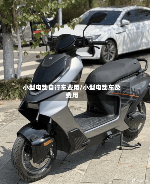小型电动自行车费用/小型电动车及费用