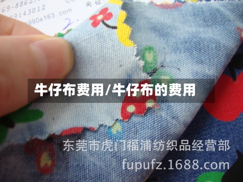 牛仔布费用/牛仔布的费用-第2张图片