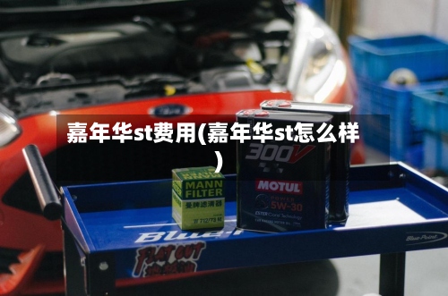 嘉年华st费用(嘉年华st怎么样)