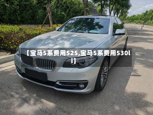 【宝马5系费用525,宝马5系费用530li】