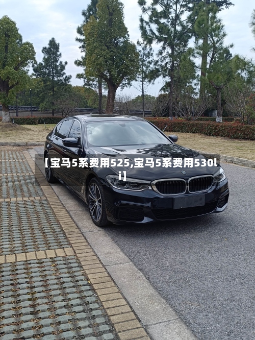【宝马5系费用525,宝马5系费用530li】-第2张图片