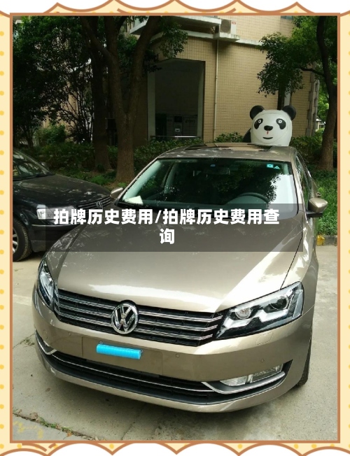 拍牌历史费用/拍牌历史费用查询