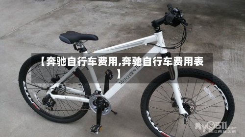 【奔驰自行车费用,奔驰自行车费用表】