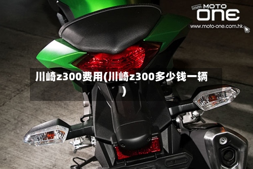 川崎z300费用(川崎z300多少钱一辆)-第2张图片