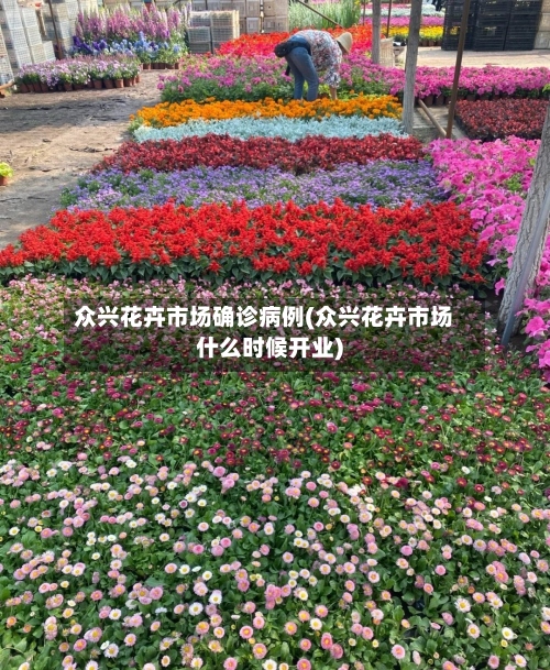 众兴花卉市场确诊病例(众兴花卉市场什么时候开业)
