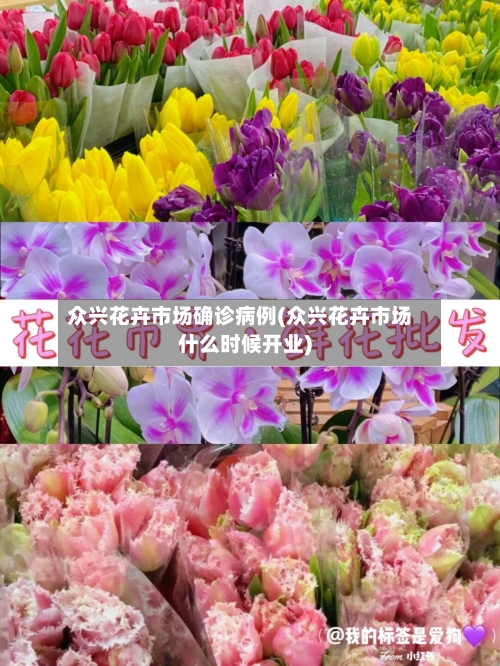 众兴花卉市场确诊病例(众兴花卉市场什么时候开业)-第3张图片