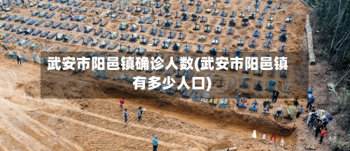 武安市阳邑镇确诊人数(武安市阳邑镇有多少人口)