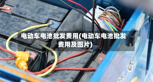 电动车电池批发费用(电动车电池批发费用及图片)-第2张图片