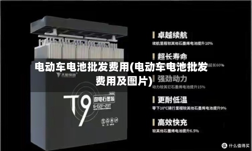 电动车电池批发费用(电动车电池批发费用及图片)