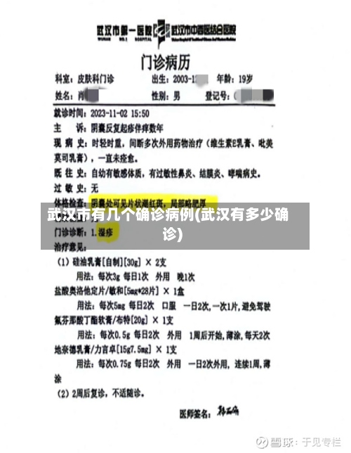 武汉市有几个确诊病例(武汉有多少确诊)