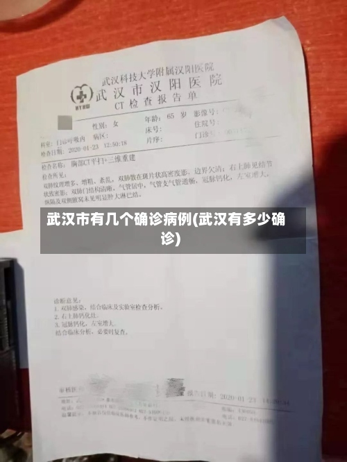 武汉市有几个确诊病例(武汉有多少确诊)-第3张图片