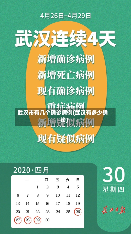 武汉市有几个确诊病例(武汉有多少确诊)-第2张图片