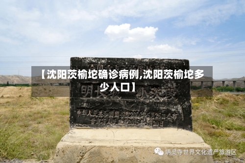 【沈阳茨榆坨确诊病例,沈阳茨榆坨多少人口】-第2张图片