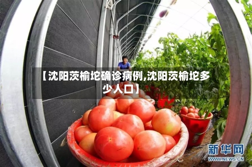 【沈阳茨榆坨确诊病例,沈阳茨榆坨多少人口】-第3张图片