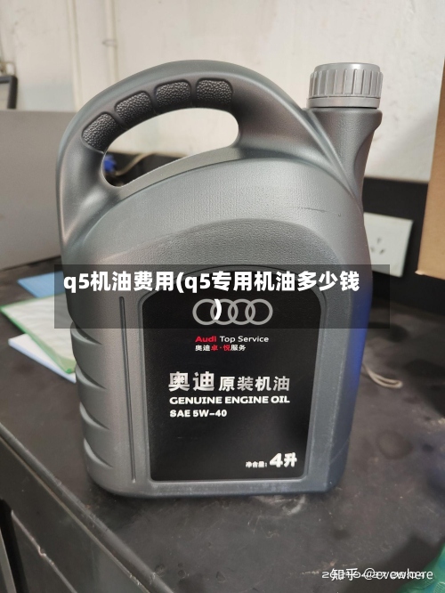 q5机油费用(q5专用机油多少钱)-第3张图片