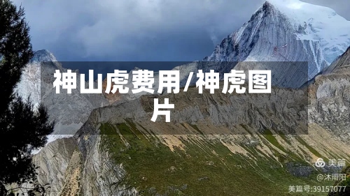 神山虎费用/神虎图片-第2张图片