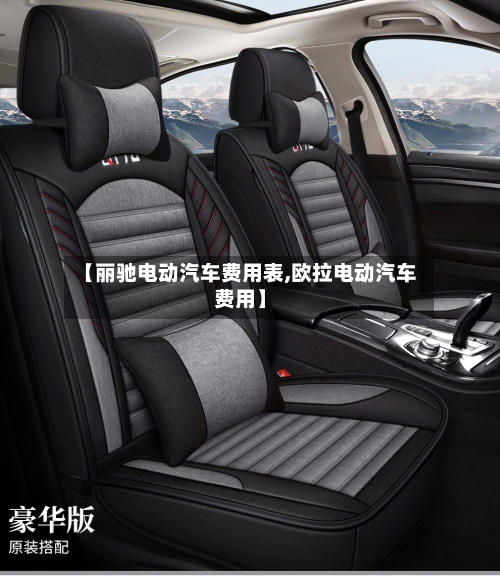 【丽驰电动汽车费用表,欧拉电动汽车费用】-第3张图片