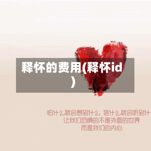释怀的费用(释怀id)-第3张图片