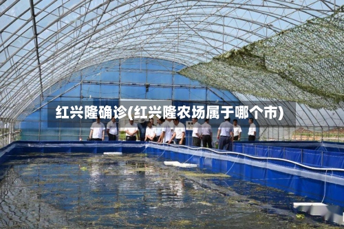 红兴隆确诊(红兴隆农场属于哪个市)