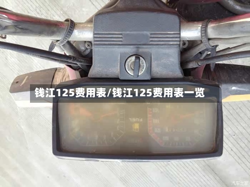 钱江125费用表/钱江125费用表一览