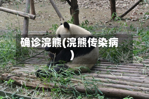 确诊浣熊(浣熊传染病)-第2张图片