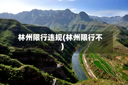 林州限行违规(林州限行不)