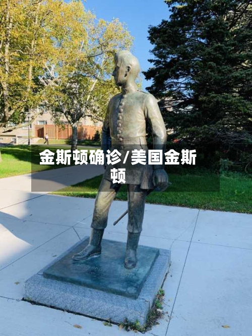 金斯顿确诊/美国金斯顿-第2张图片