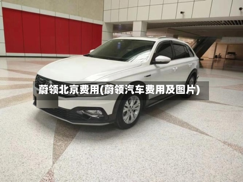 蔚领北京费用(蔚领汽车费用及图片)