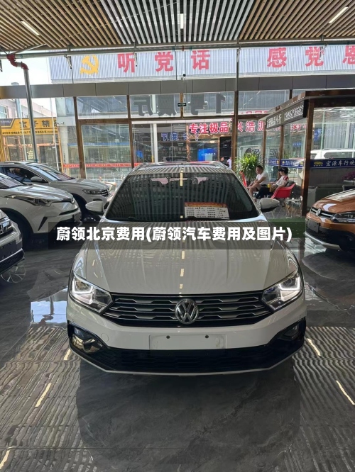 蔚领北京费用(蔚领汽车费用及图片)-第2张图片