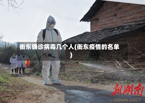 衡东确诊病毒几个人(衡东疫情的名单)-第2张图片