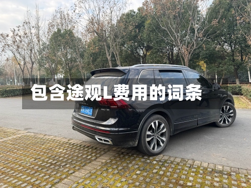 包含途观L费用的词条-第2张图片