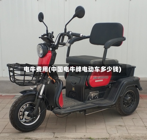 电牛费用(中国电牛牌电动车多少钱)-第2张图片