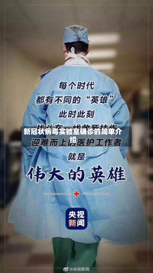 新冠状病毒实验室确诊的简单介绍