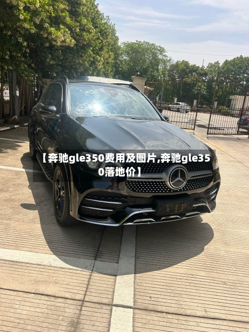 【奔驰gle350费用及图片,奔驰gle350落地价】-第2张图片