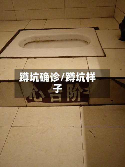 蹲坑确诊/蹲坑样子-第3张图片