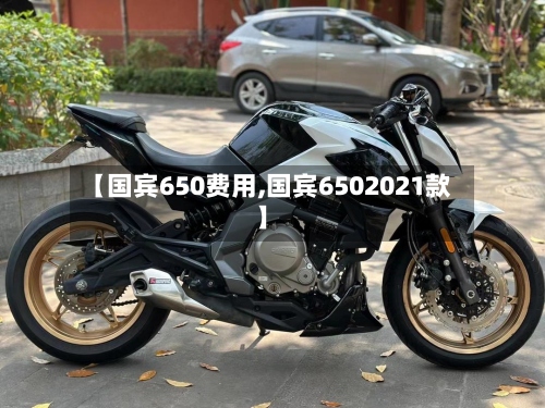 【国宾650费用,国宾6502021款】-第2张图片