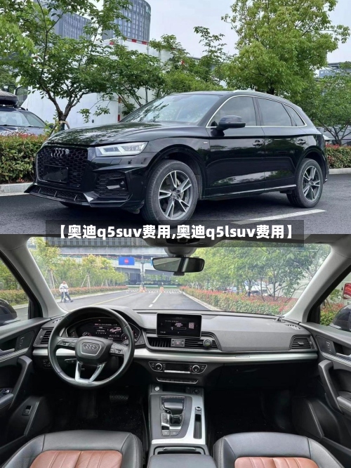 【奥迪q5suv费用,奥迪q5lsuv费用】-第2张图片