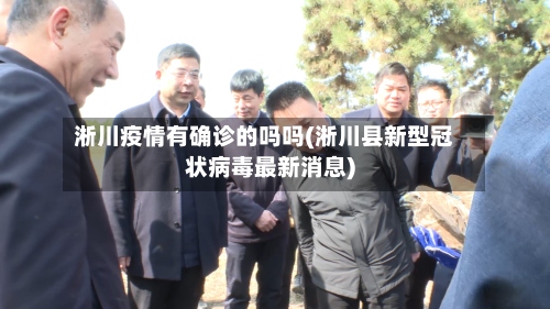 淅川疫情有确诊的吗吗(淅川县新型冠状病毒最新消息)-第2张图片
