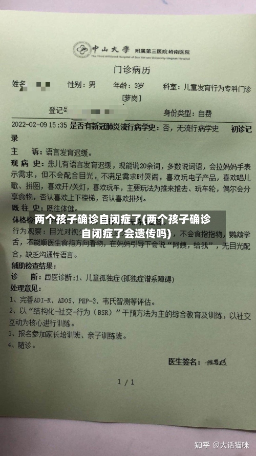 两个孩子确诊自闭症了(两个孩子确诊自闭症了会遗传吗)-第3张图片