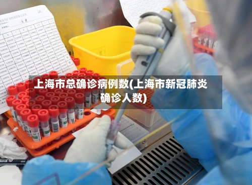 上海市总确诊病例数(上海市新冠肺炎确诊人数)
