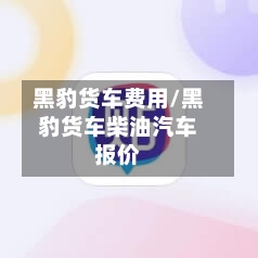 黑豹货车费用/黑豹货车柴油汽车报价-第2张图片