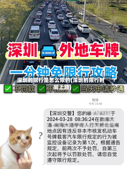 深圳的限行是怎么限的(深圳的限行时间上路)-第3张图片