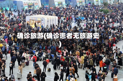 确诊旅游(确诊患者无旅游史)-第3张图片