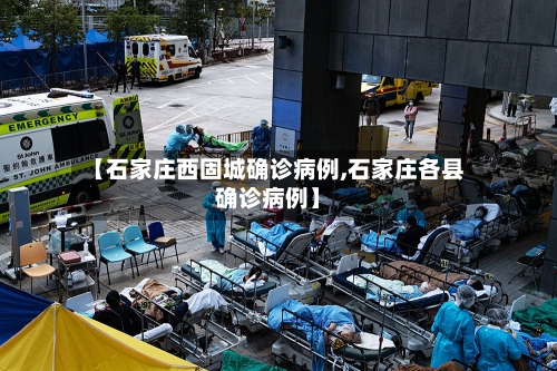 【石家庄西固城确诊病例,石家庄各县确诊病例】-第3张图片