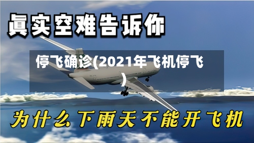 停飞确诊(2021年飞机停飞)-第2张图片