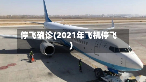 停飞确诊(2021年飞机停飞)-第3张图片
