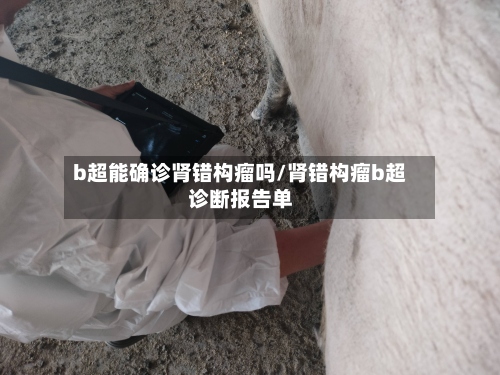 b超能确诊肾错构瘤吗/肾错构瘤b超诊断报告单