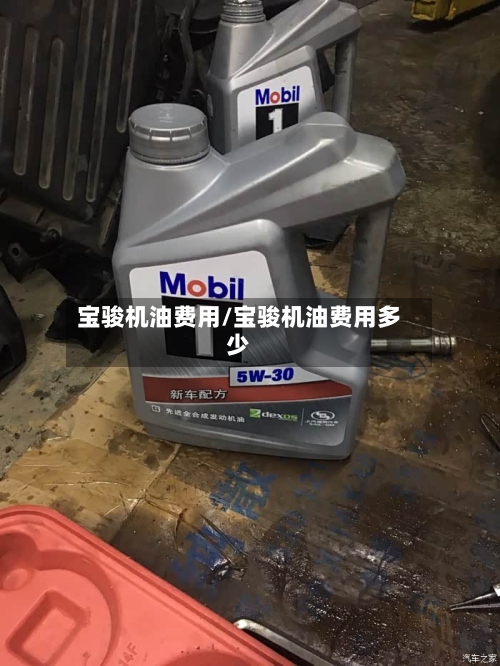 宝骏机油费用/宝骏机油费用多少-第2张图片
