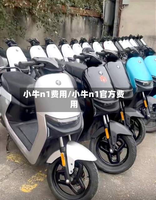 小牛n1费用/小牛n1官方费用-第2张图片